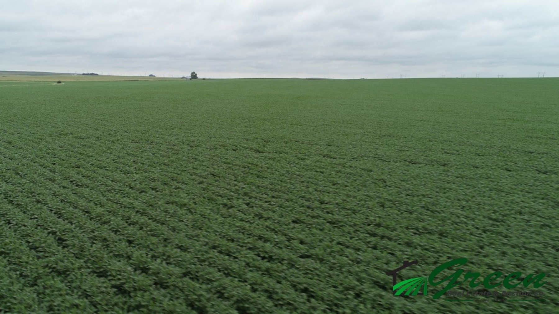 Image for Sac County Farmland Auction!