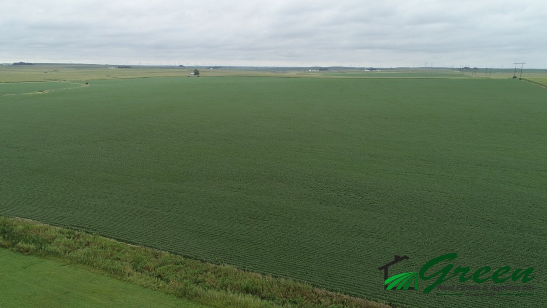 Image for Sac County Farmland Auction!