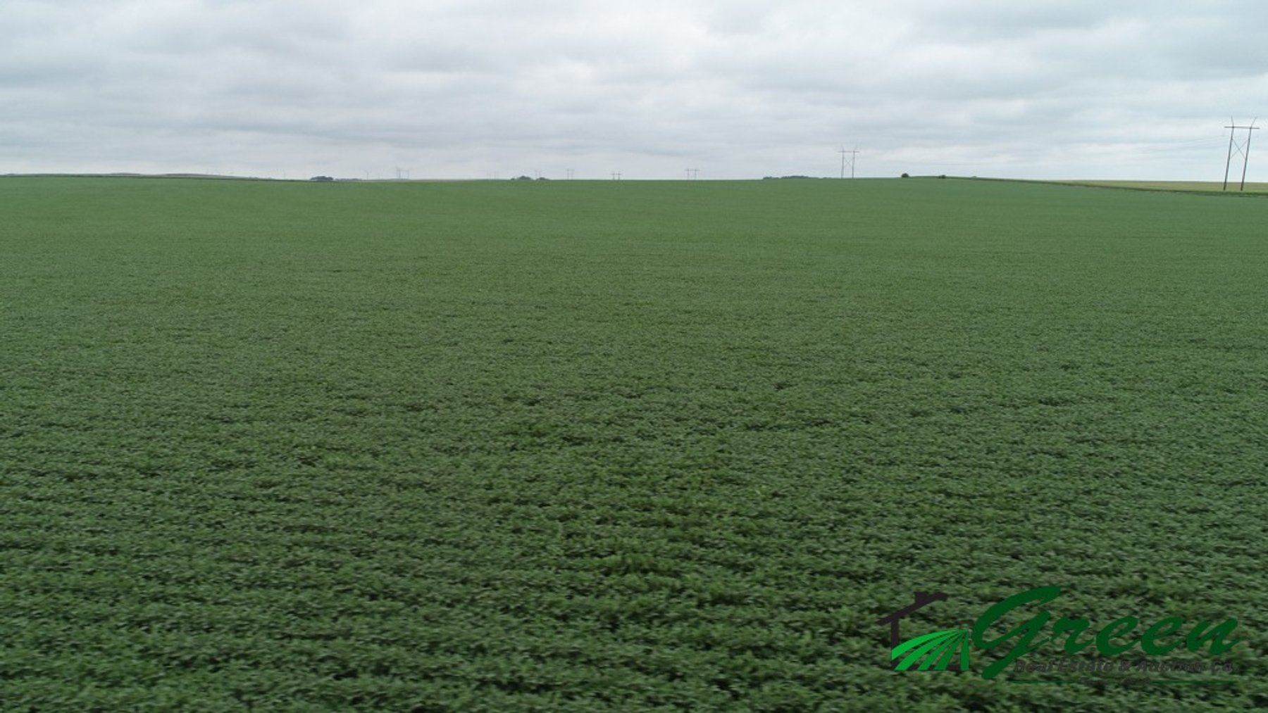Image for Sac County Farmland Auction!