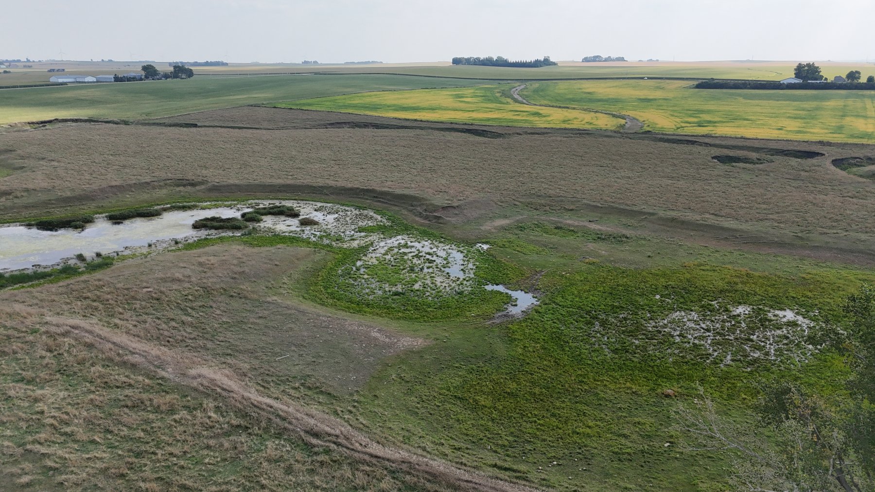 Image for Sac County, IA Farmland Auction!