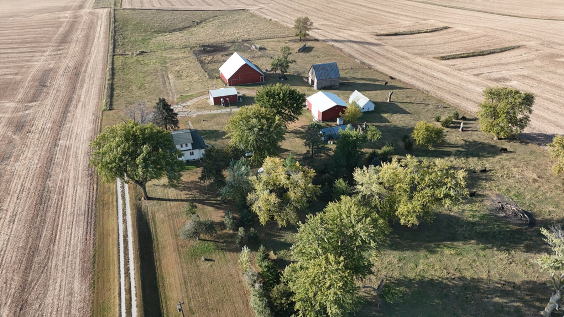 Image for Calhoun County Land & Acreage Auction!