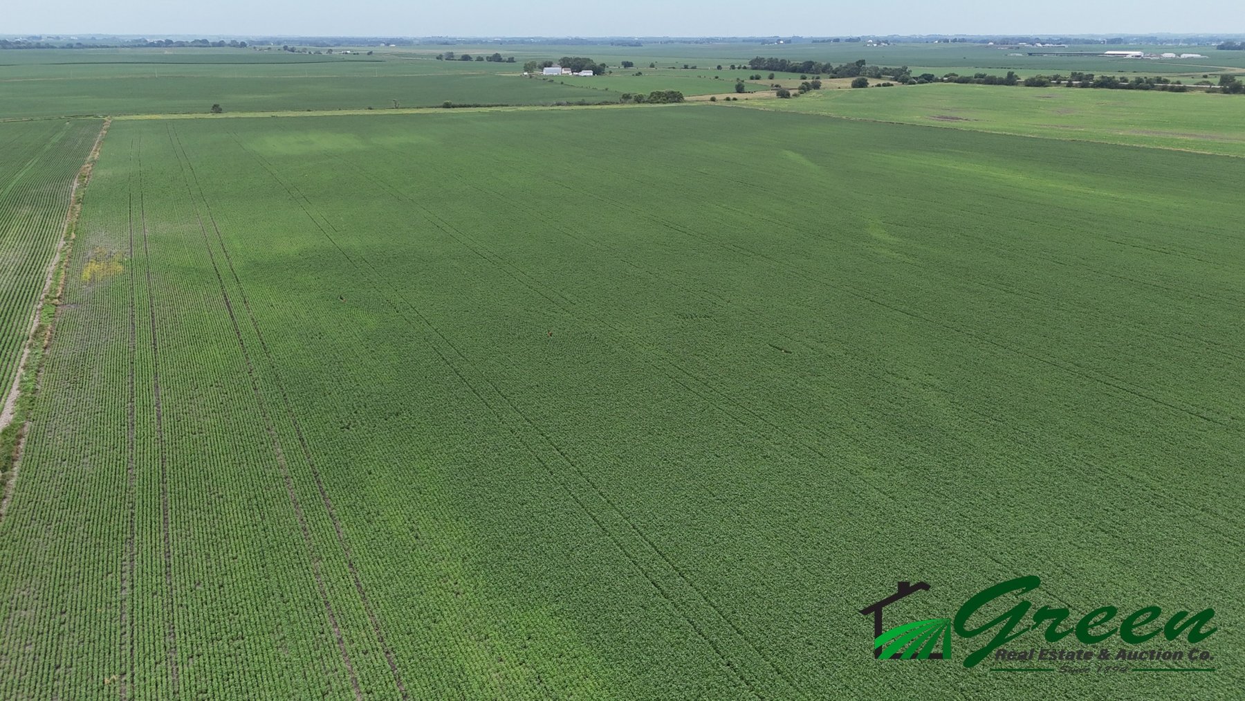 Image for Sac County, IA Farmland Auction!