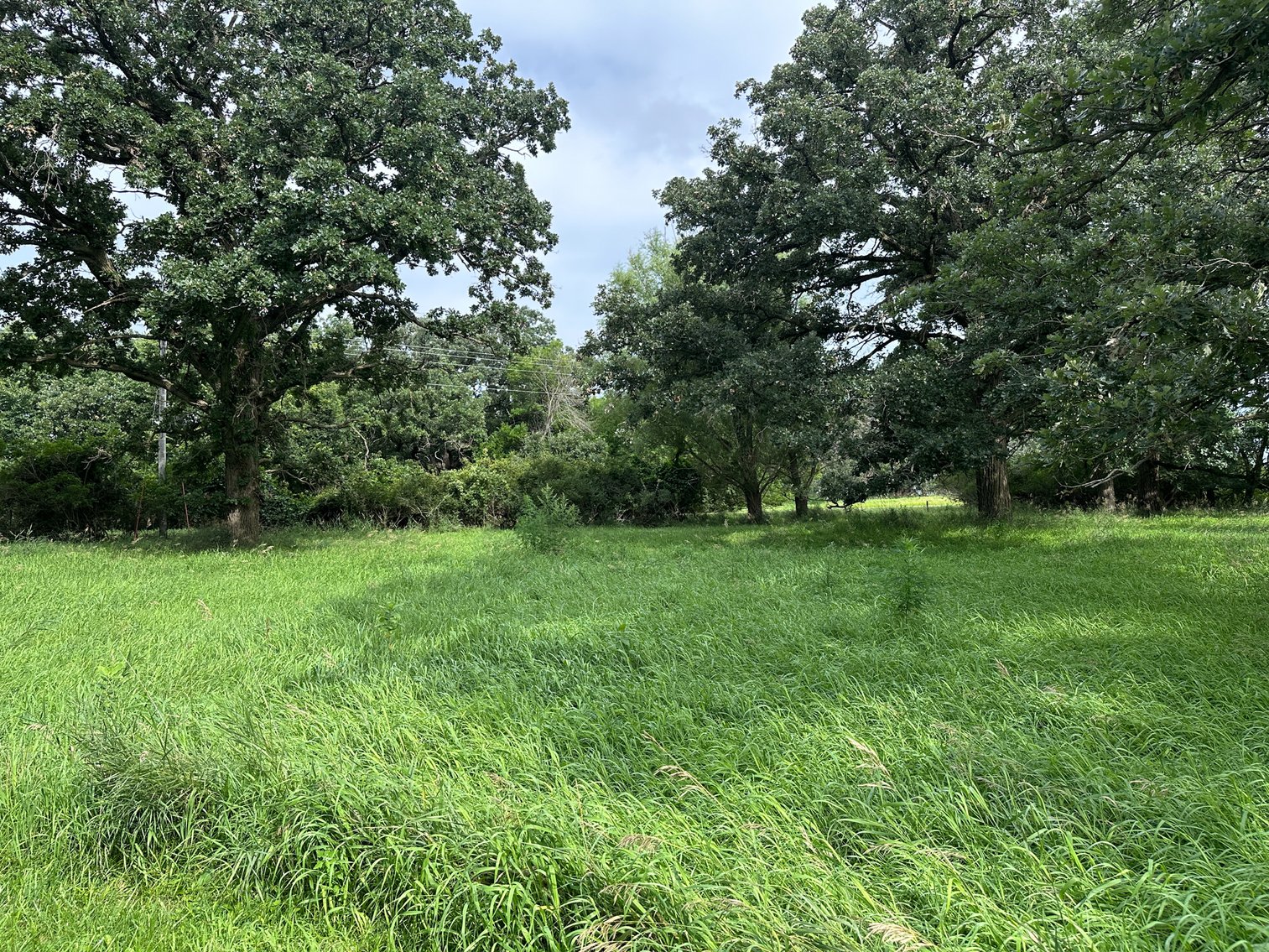 Image for 2070 Rolf Avenue, Sac City!