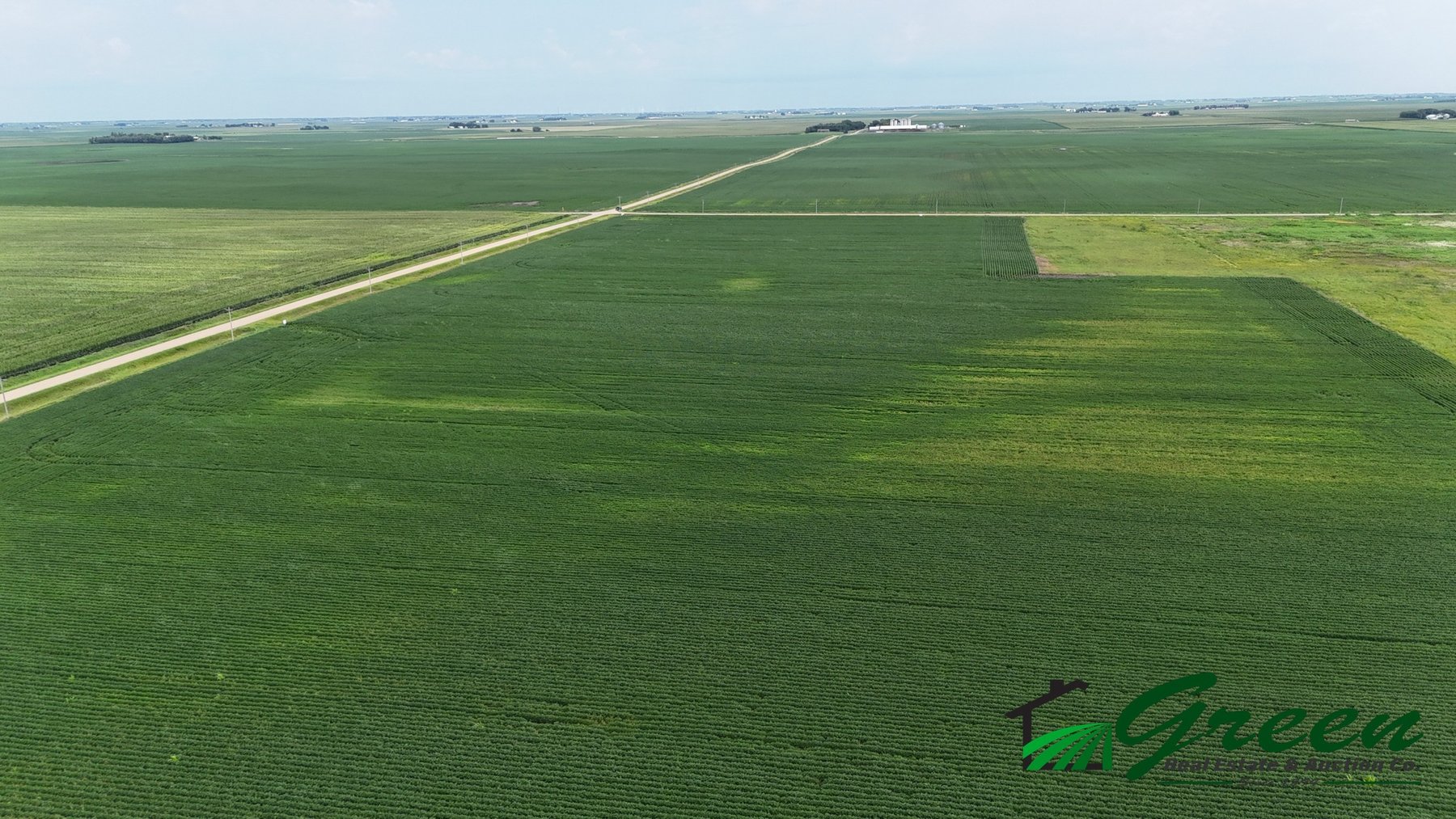 Image for Calhoun County Land Auction!