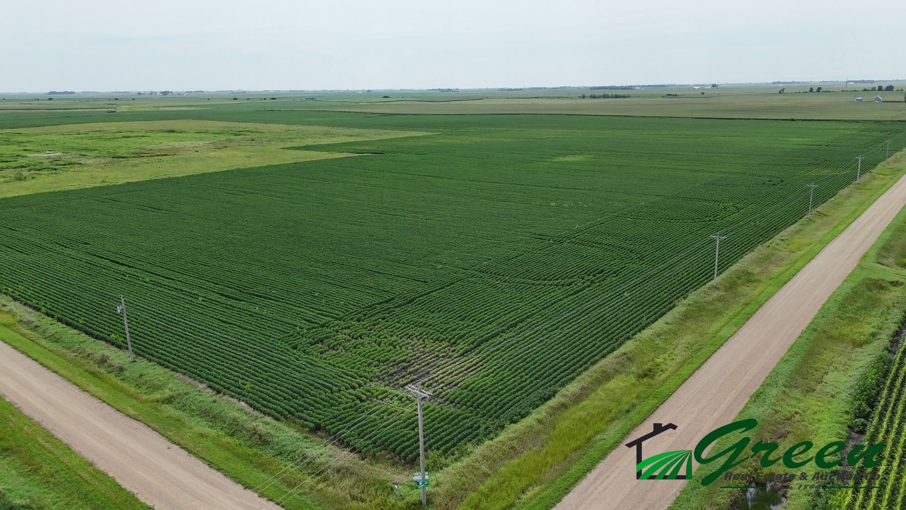 Image for Calhoun County Land Auction!
