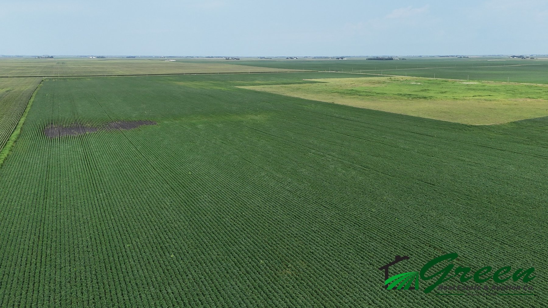 Image for Calhoun County Land Auction!