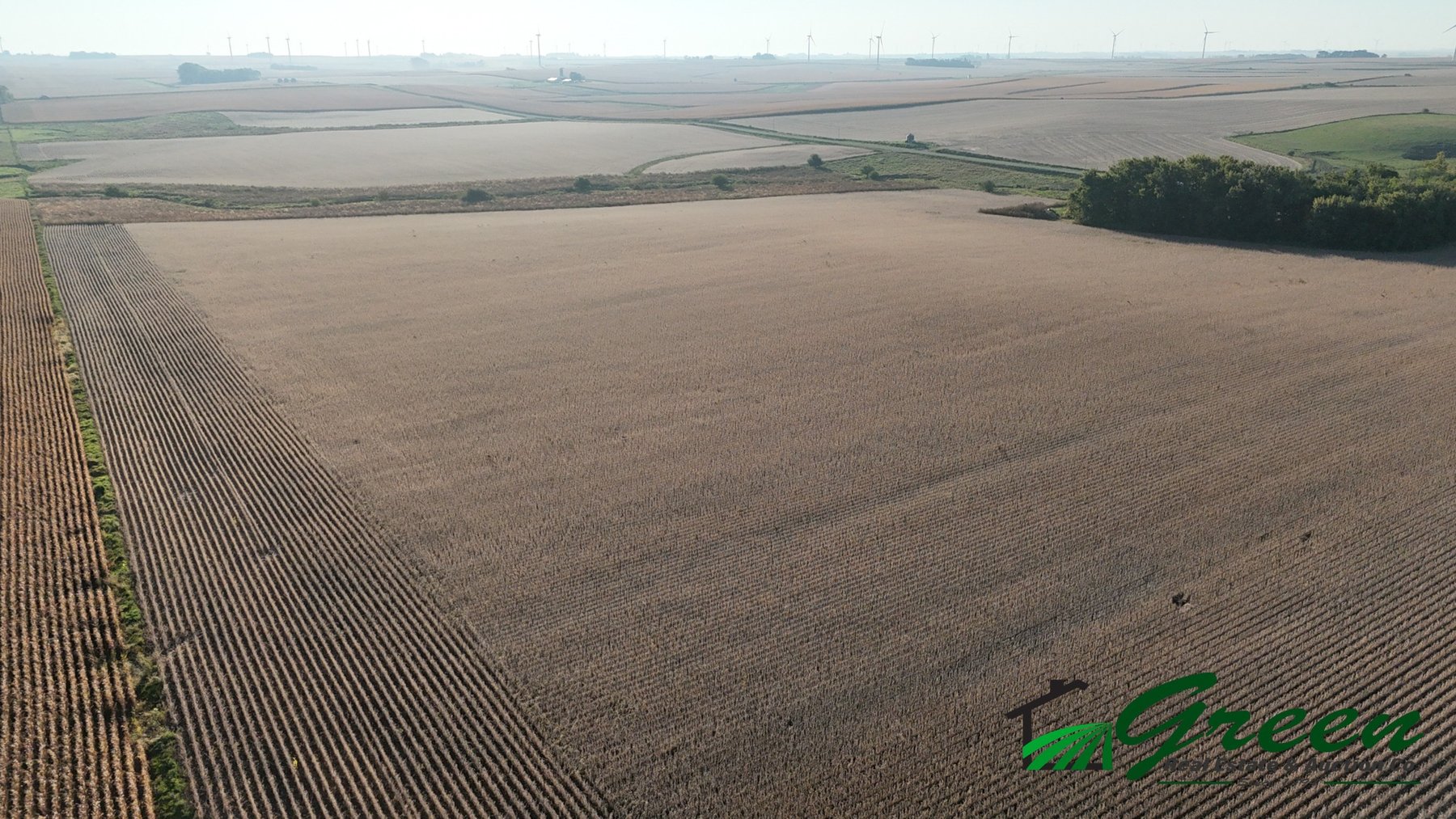 Image for Sac County Farmland Auction!