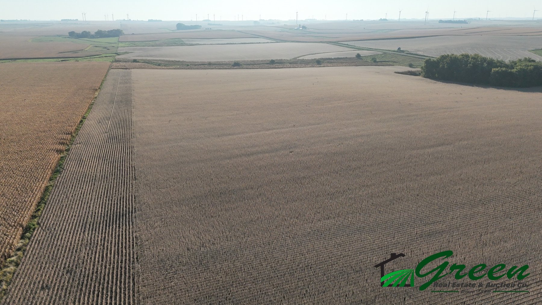 Image for Sac County Farmland Auction!