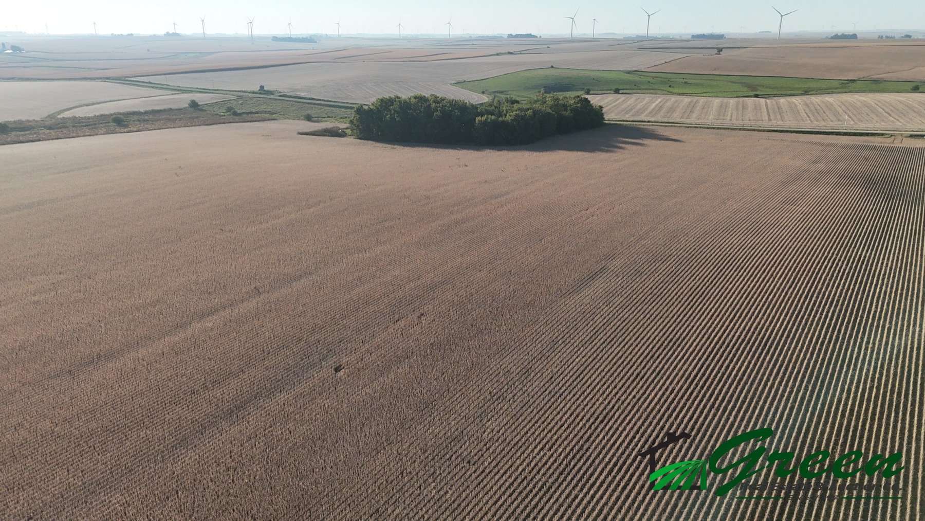 Image for Sac County Farmland Auction!