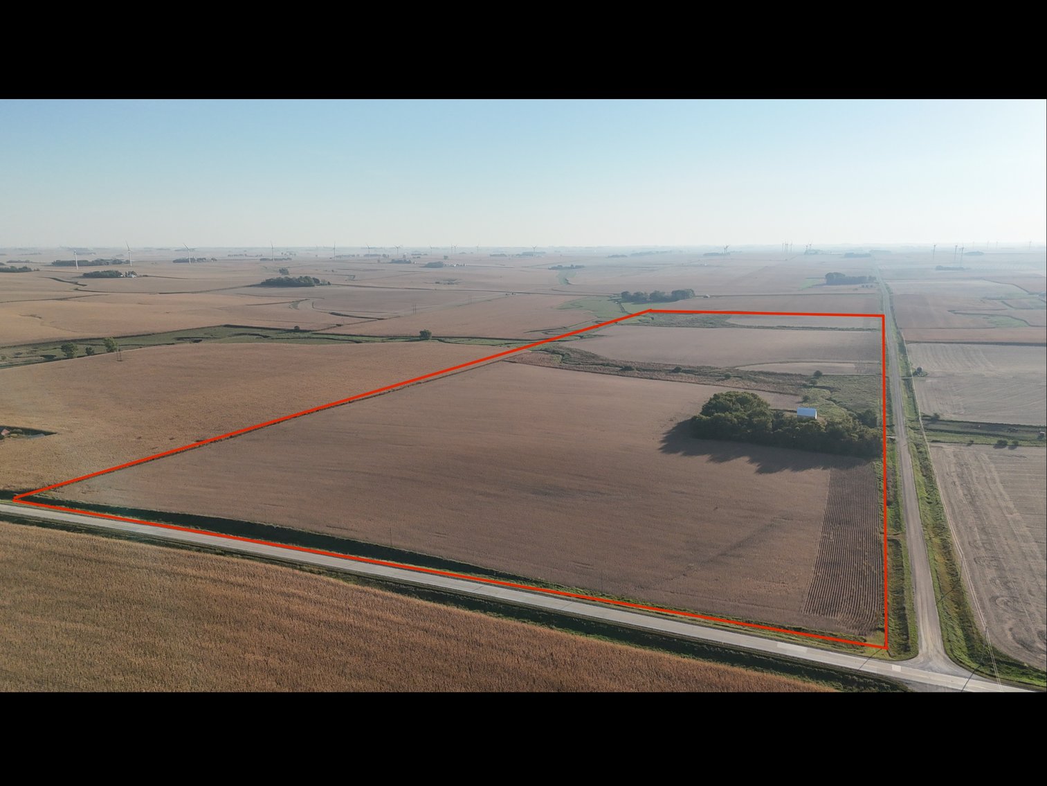 Image for Sac County Farmland Auction!