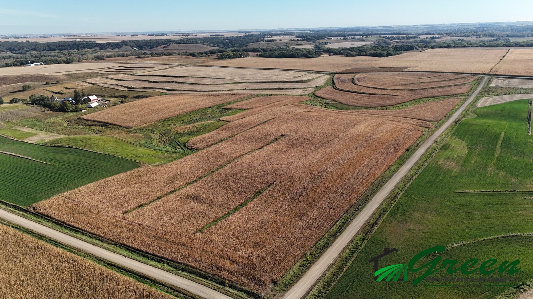 Image for Online Only Buena Vista County Iowa Farmland Auction!