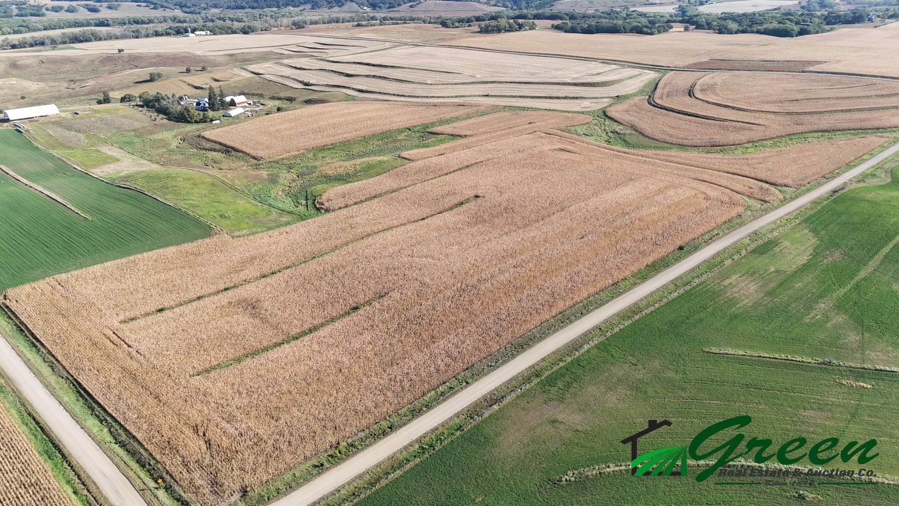 Image for Online Only Buena Vista County Iowa Farmland Auction!