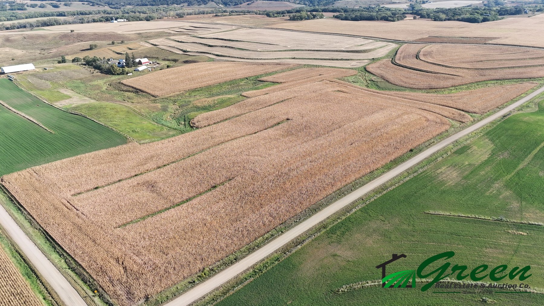 Image for Online Only Buena Vista County Iowa Farmland Auction!