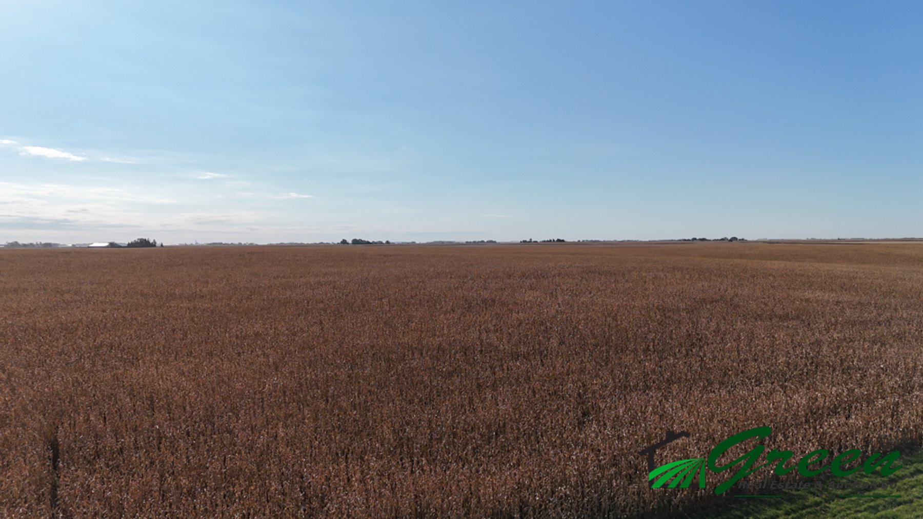 Image for Sac County, Iowa Farmland Auction!