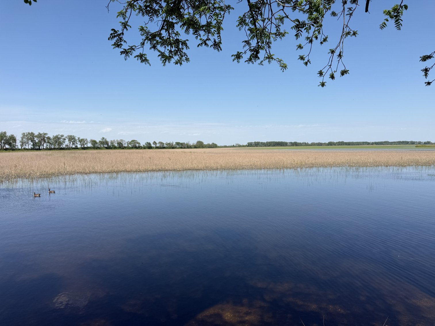 Image for 2335 S Twin Lakes Road, Rockwell City!