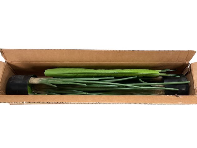 Image for Artificial Plants