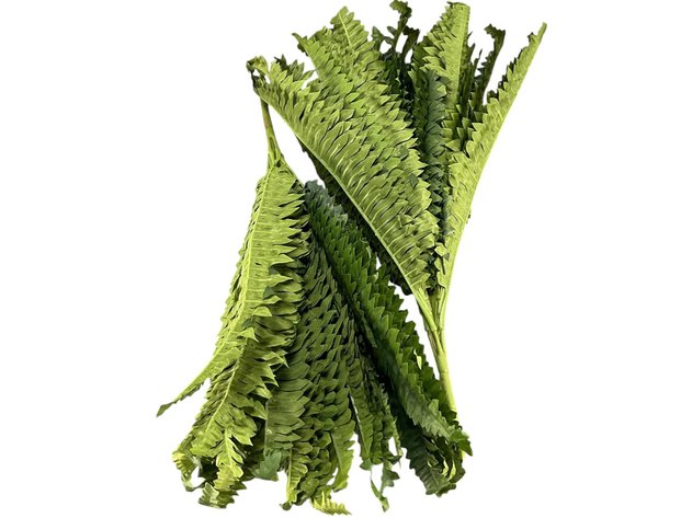 Image for Faux Plant Branches