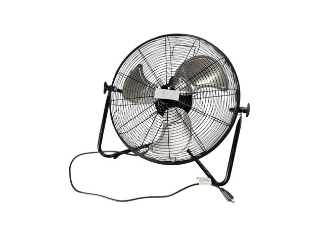 Image for Fan