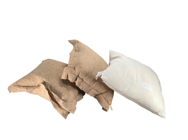 Image for Throw Pillows