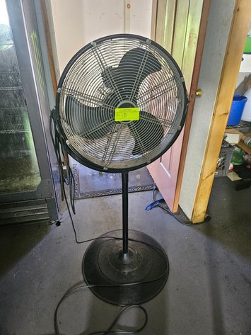 Image for Pedestal Fan