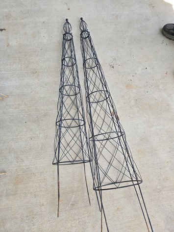 Image for Two climbing trellis