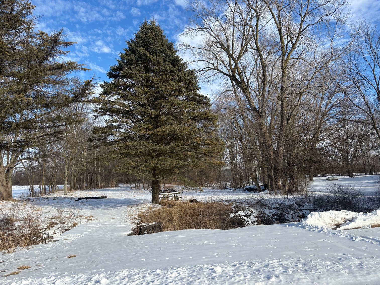 Image for 16352 Railroad Street, Petersburg, Michigan 49270