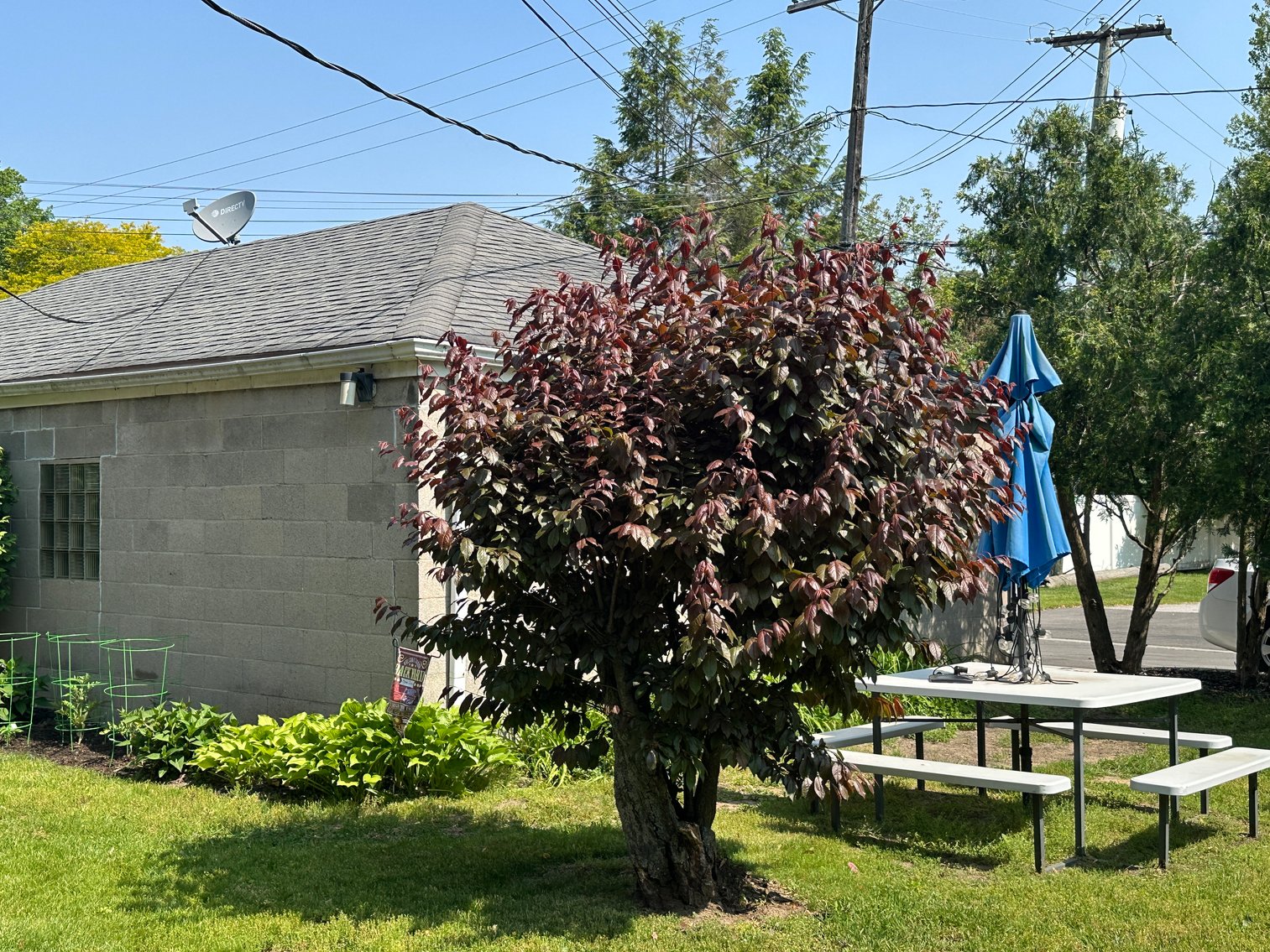 Image for 3926 Indian Road, Toledo, Ohio 43606