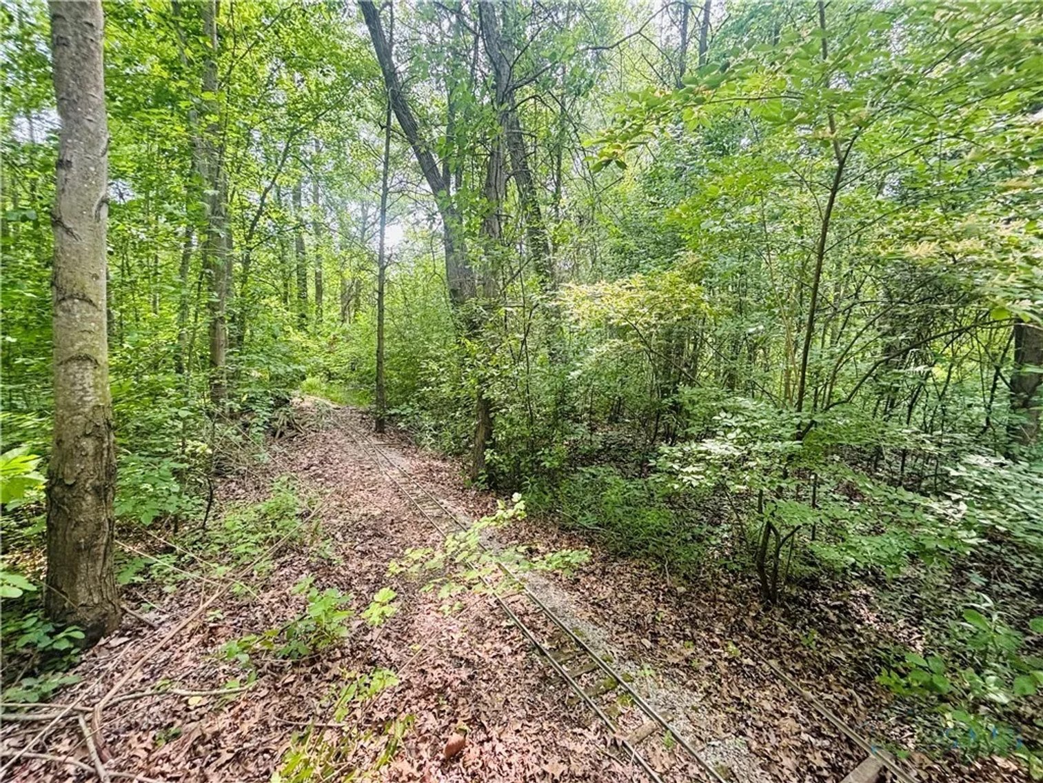 Image for 10555 Angola Road, Swanton, Ohio 43558