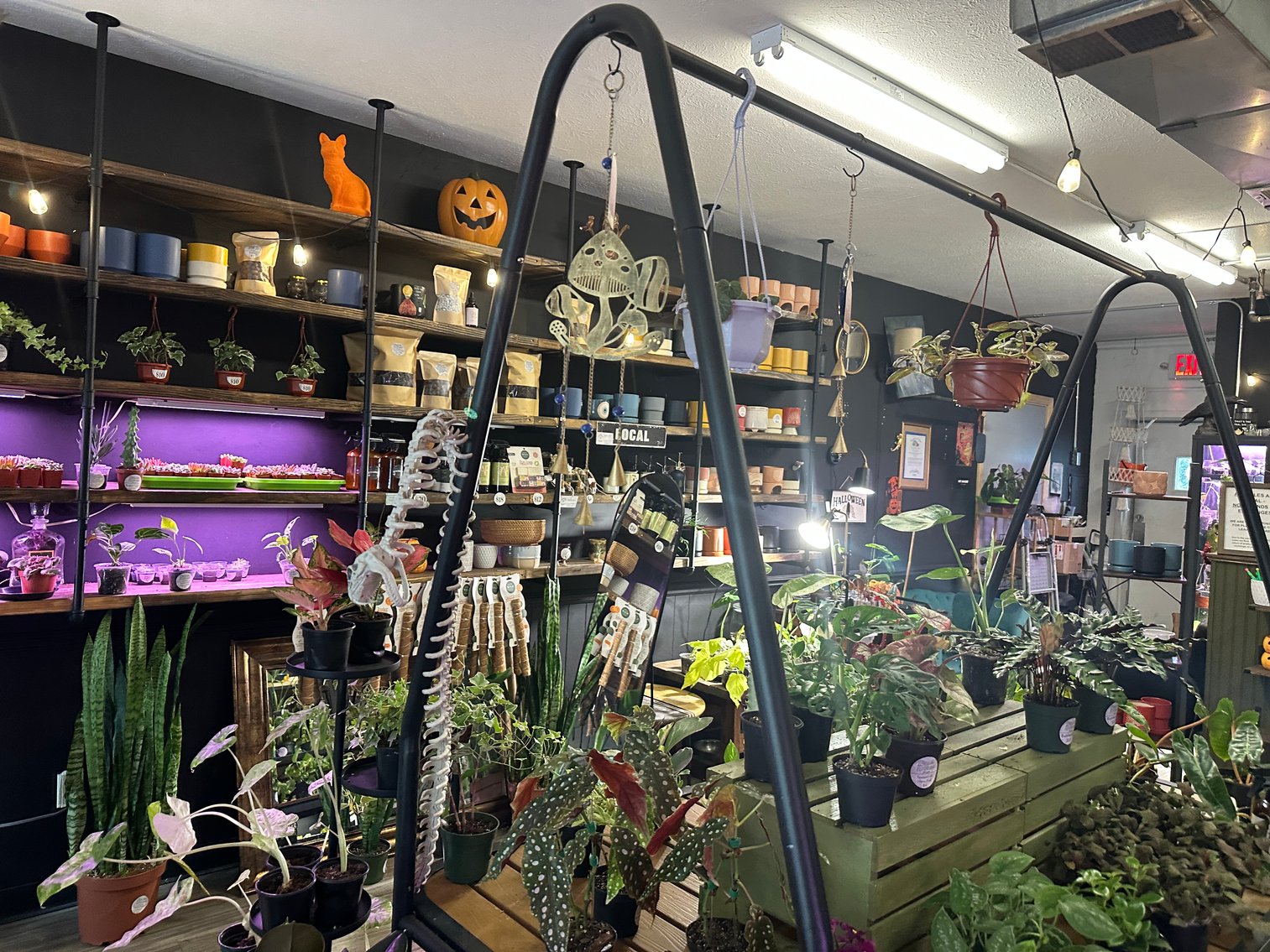 Image for 5938 Secor Road, Toledo, Ohio 43623