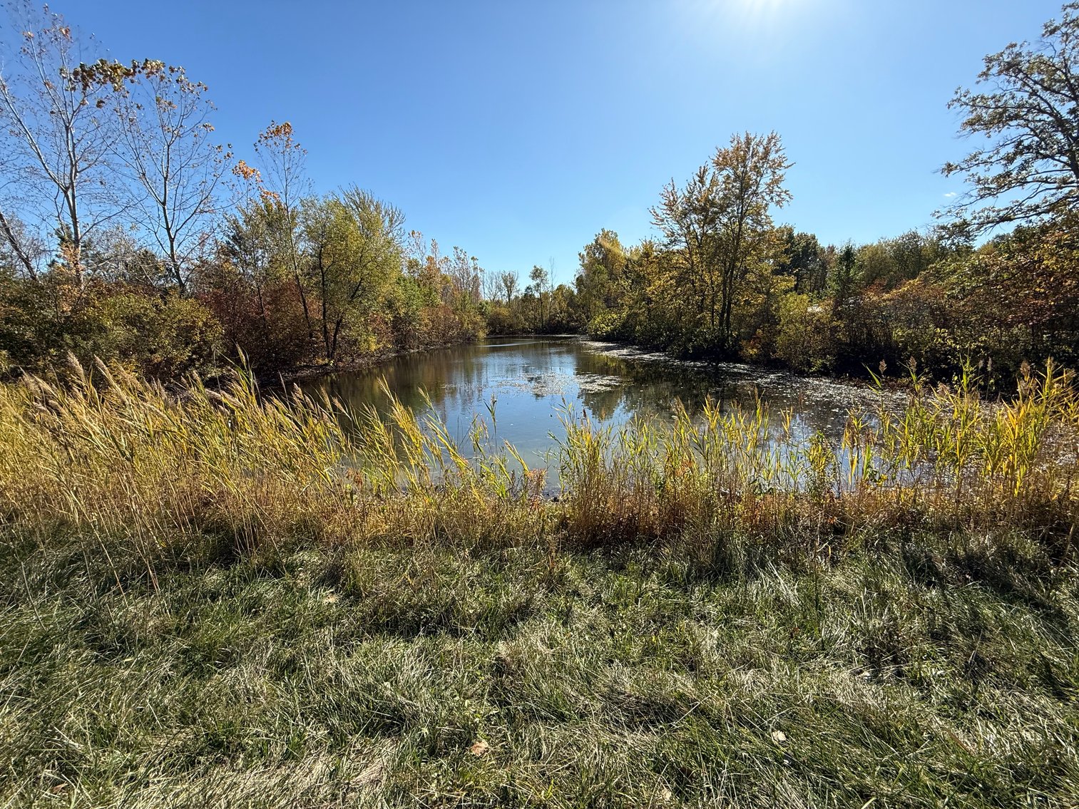 Image for 8740 Cedar Point Road, Oregon, Ohio 43616