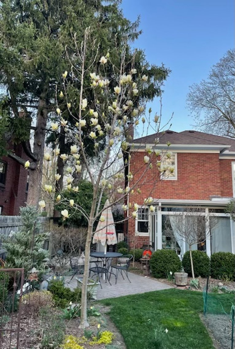 Image for 2541 Cheltenham Road, Toledo, Ohio 43606