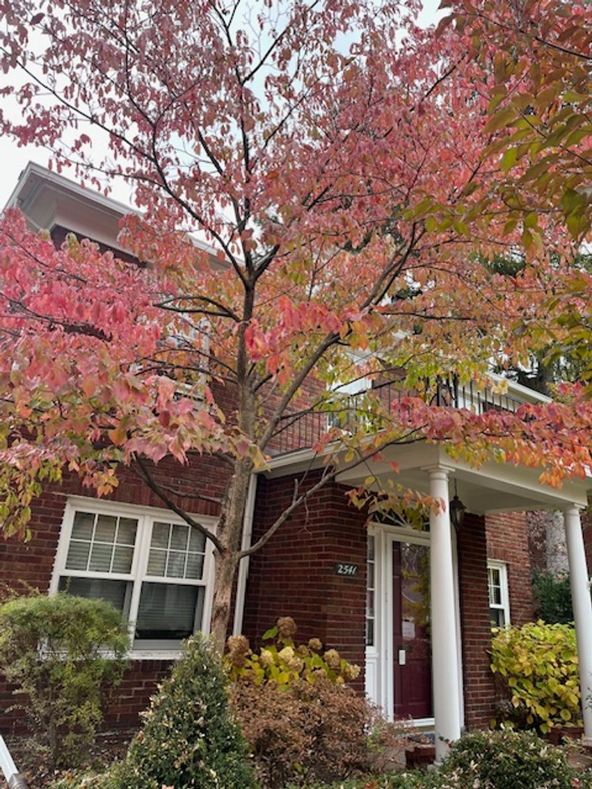 Image for 2541 Cheltenham Road, Toledo, Ohio 43606