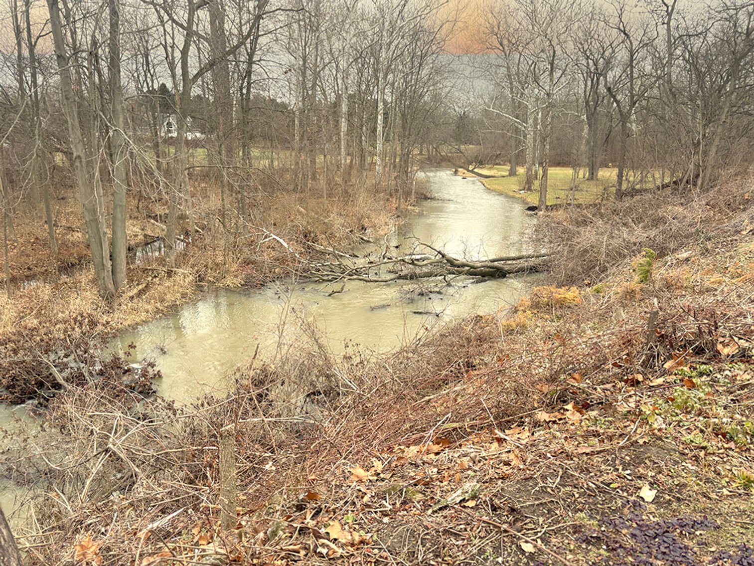 Image for 3829 North Otter Creek Road, Monroe, Michigan 48161