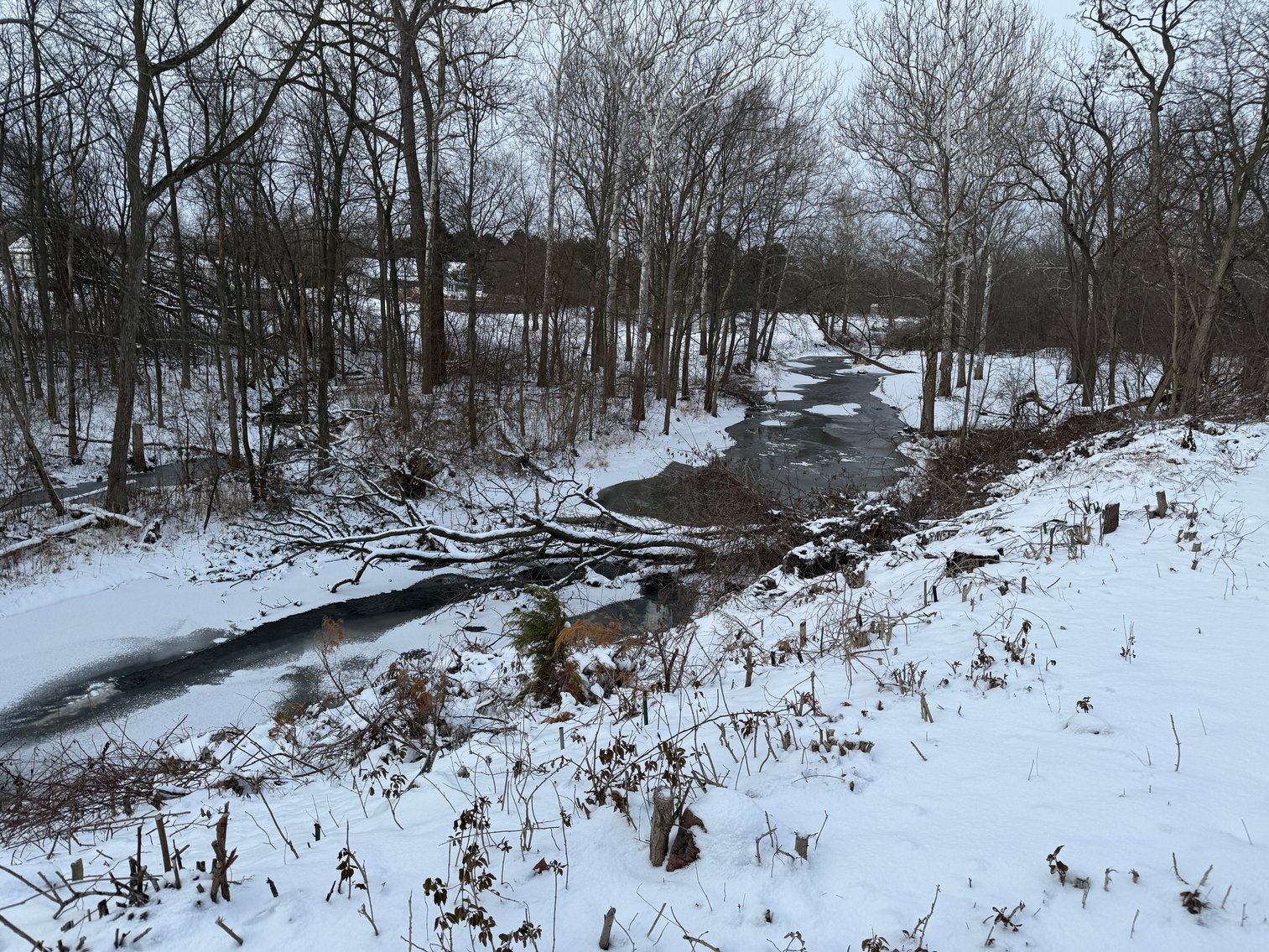 Image for 3829 North Otter Creek Road, Monroe, Michigan 48161