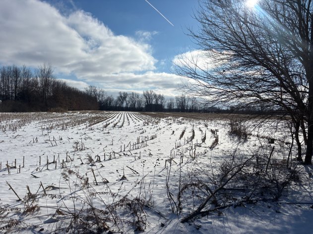 Image for 8533 Garden Road, Maumee, Ohio 43537