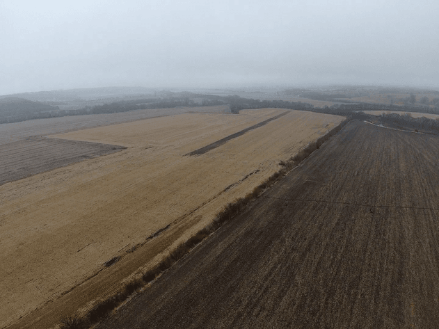 Image for Pawnee County Farmland Absolute Auction