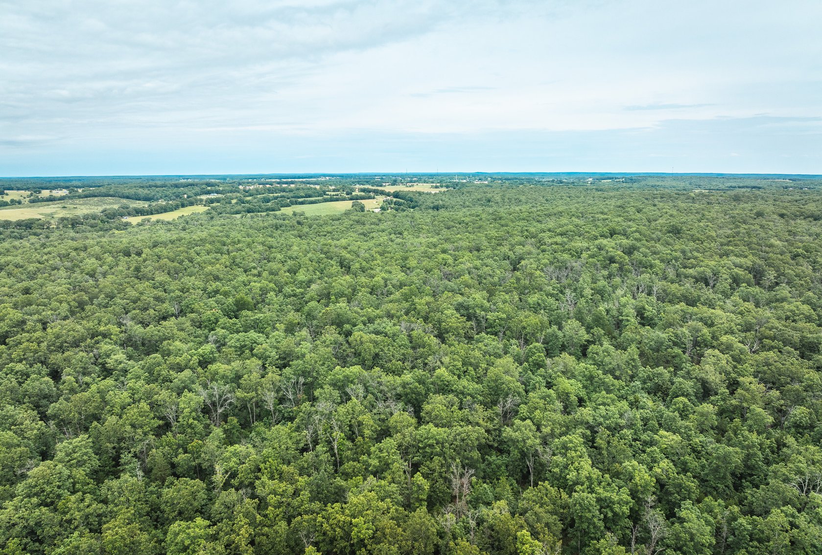 Image for Phelps County Land & Timber