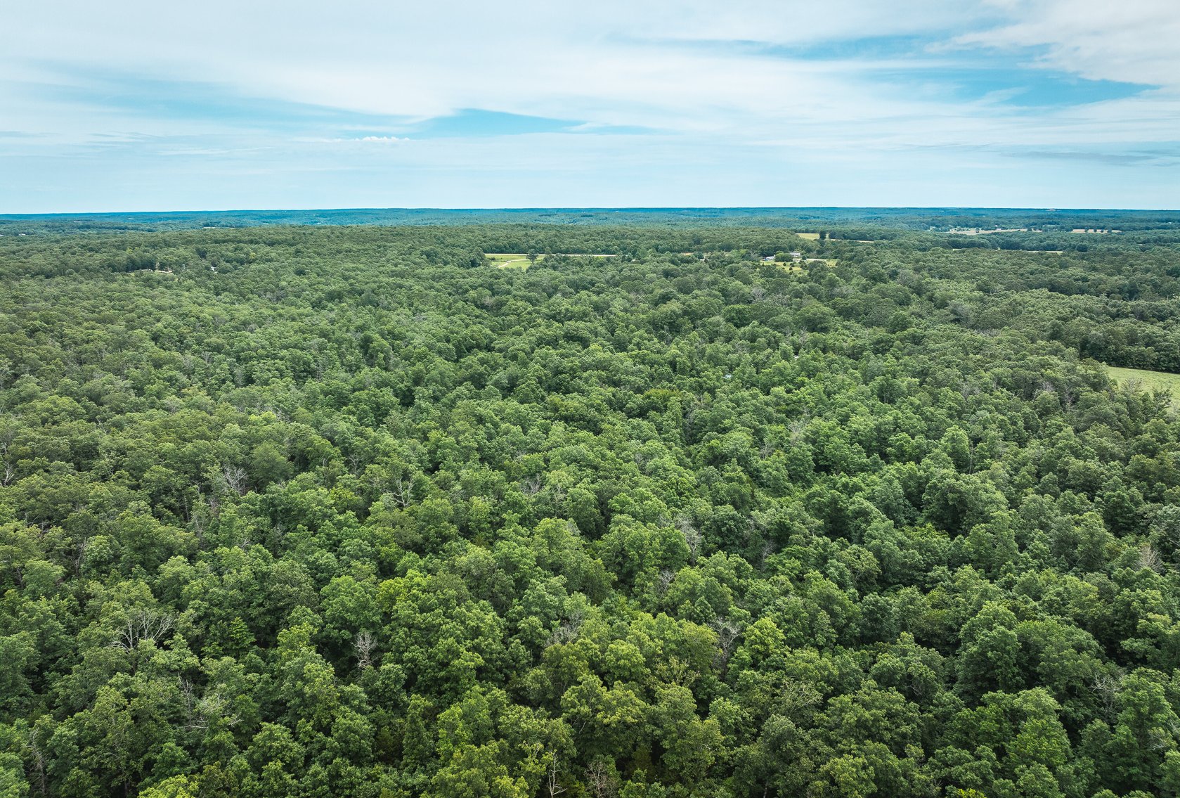 Image for Phelps County Land & Timber