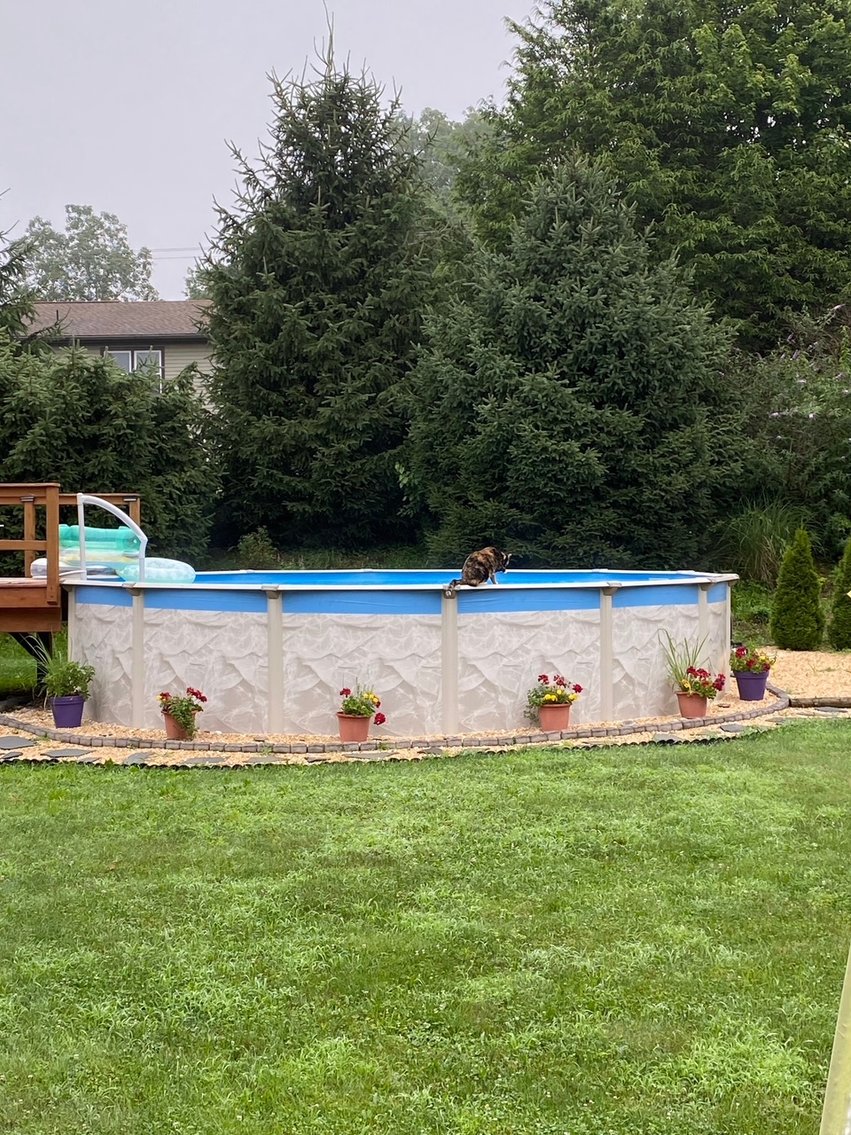 Image for 14 North Butterfly Drive - Myerstown, PA
