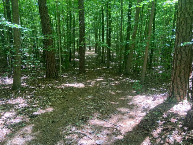 Image for 3400 Old Gun Road West, Midlothian VA