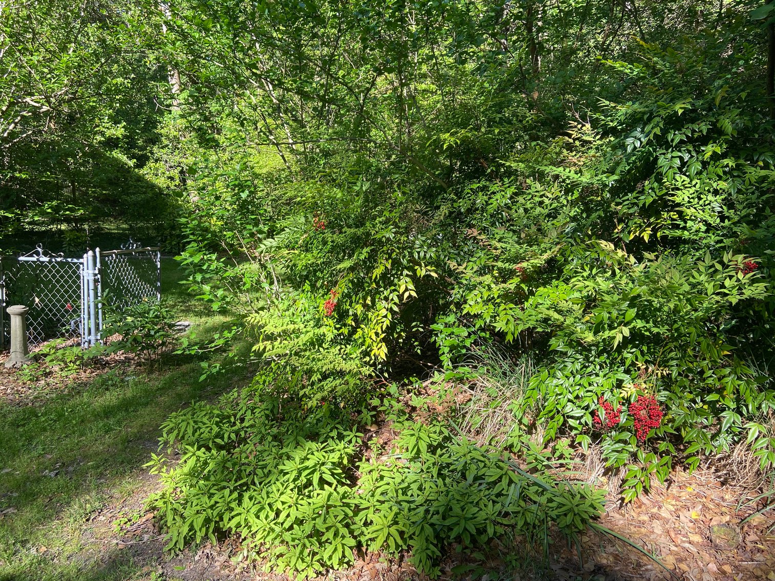 Image for 12431 Whisana Lane, Ashland VA