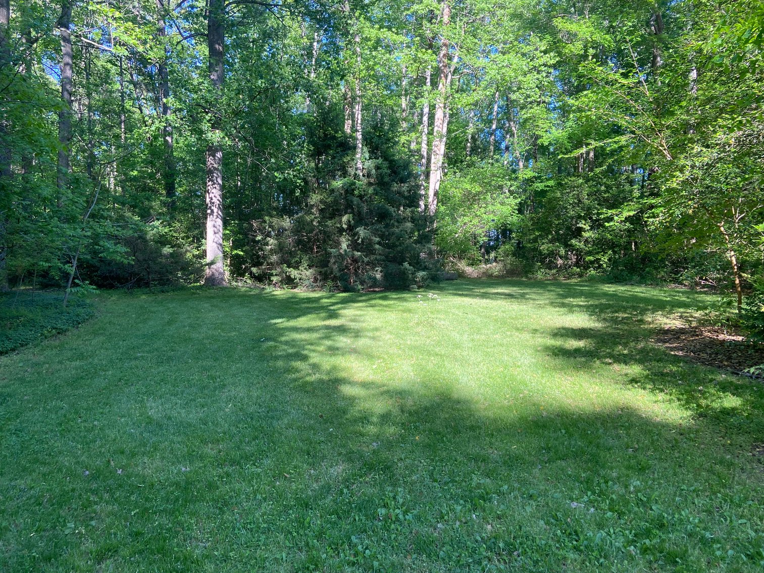 Image for 12431 Whisana Lane, Ashland VA