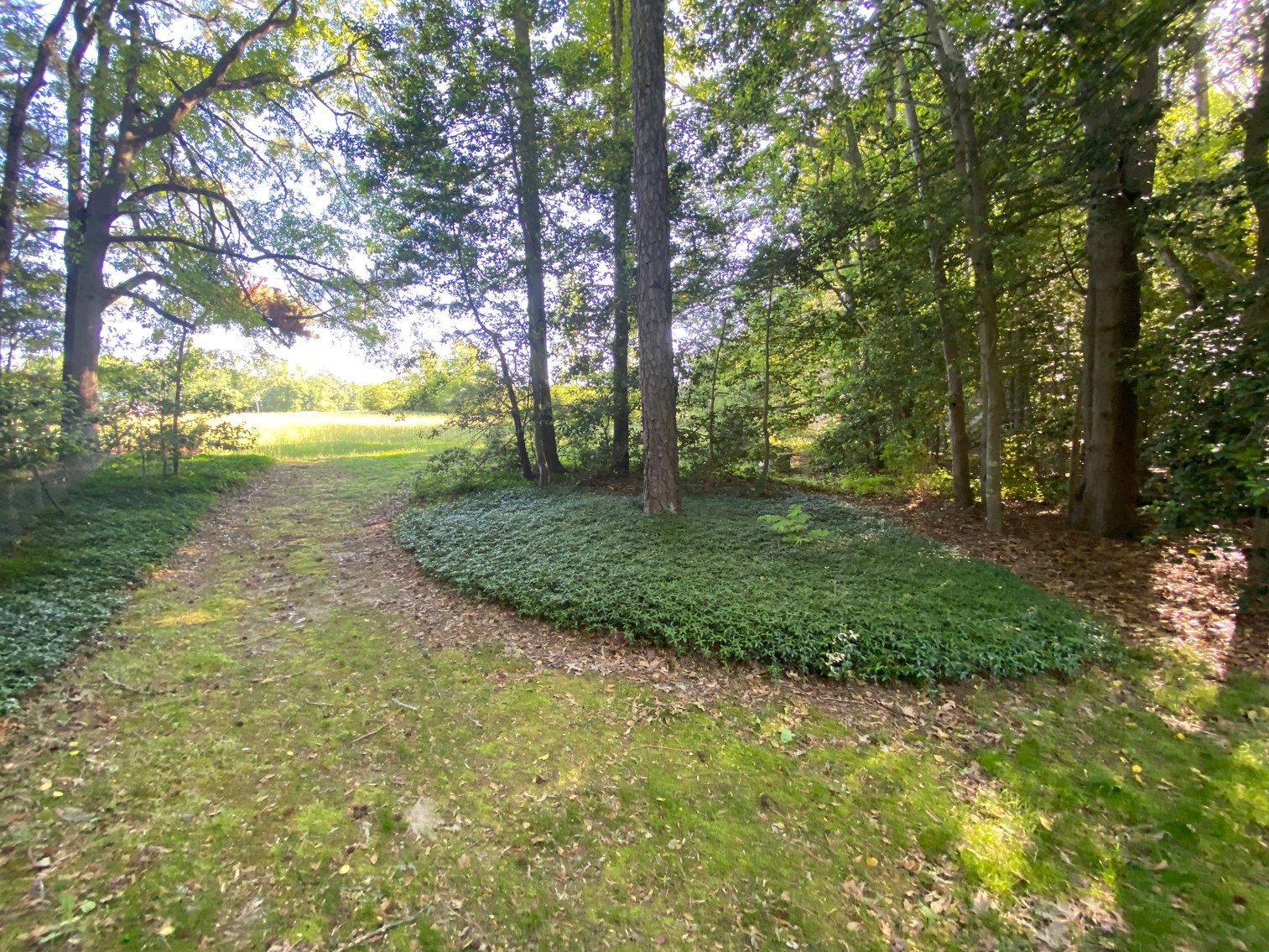 Image for 12431 Whisana Lane, Ashland VA