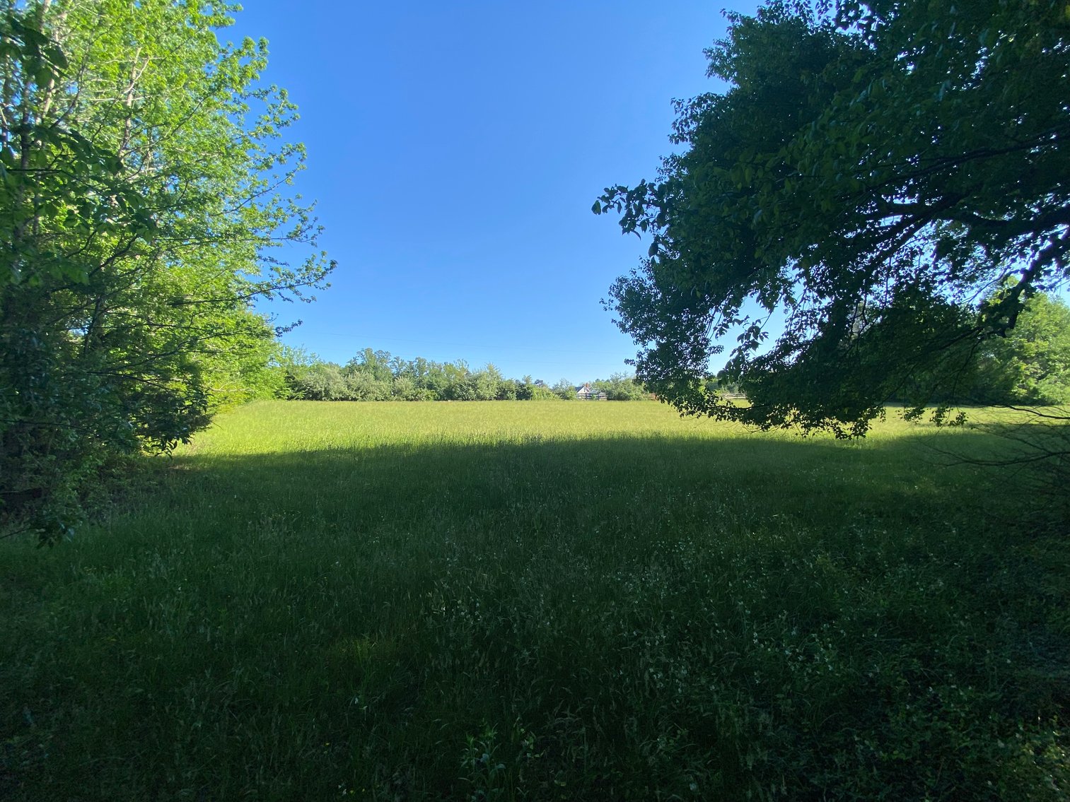 Image for 12431 Whisana Lane, Ashland VA