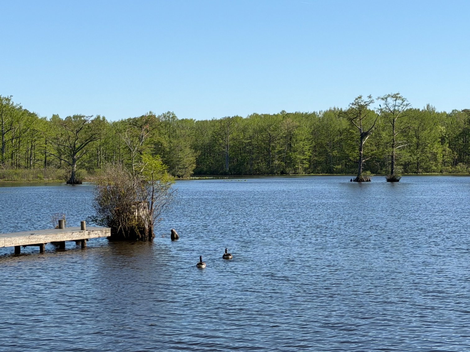 Image for Eagles Landing Marina Real Estate and Business Assets - New Kent County Virginia