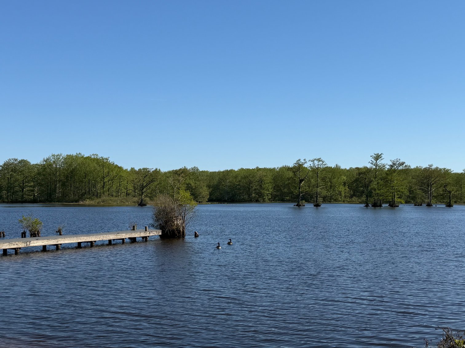 Image for Eagles Landing Marina Real Estate and Business Assets - New Kent County Virginia