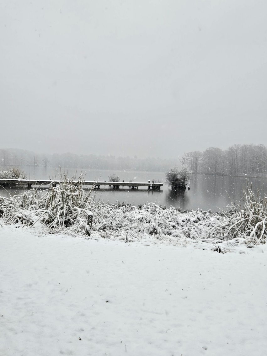 Image for Eagles Landing Marina Real Estate and Business Assets - New Kent County Virginia