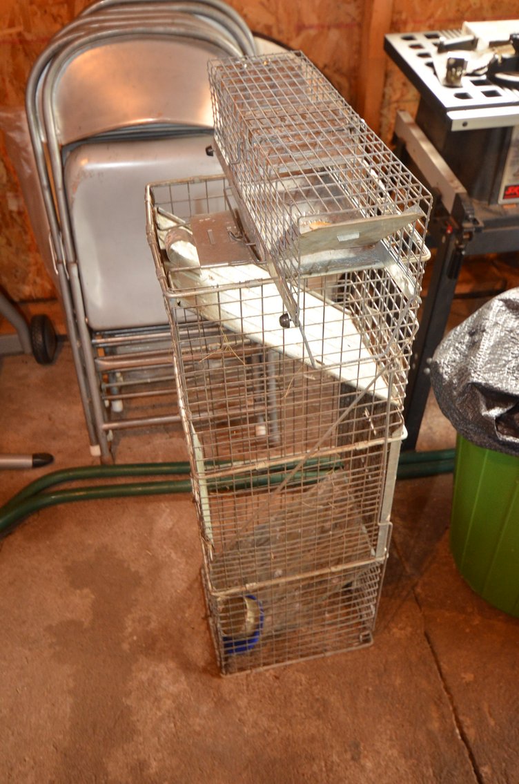 Image for LAWN MOWERS, TRAILER, LAWN&GARDEN, TOOLS, FISHING, COLLECTIBLES, AND HOUSEHOLD - Mondovi, WI (Meridean)