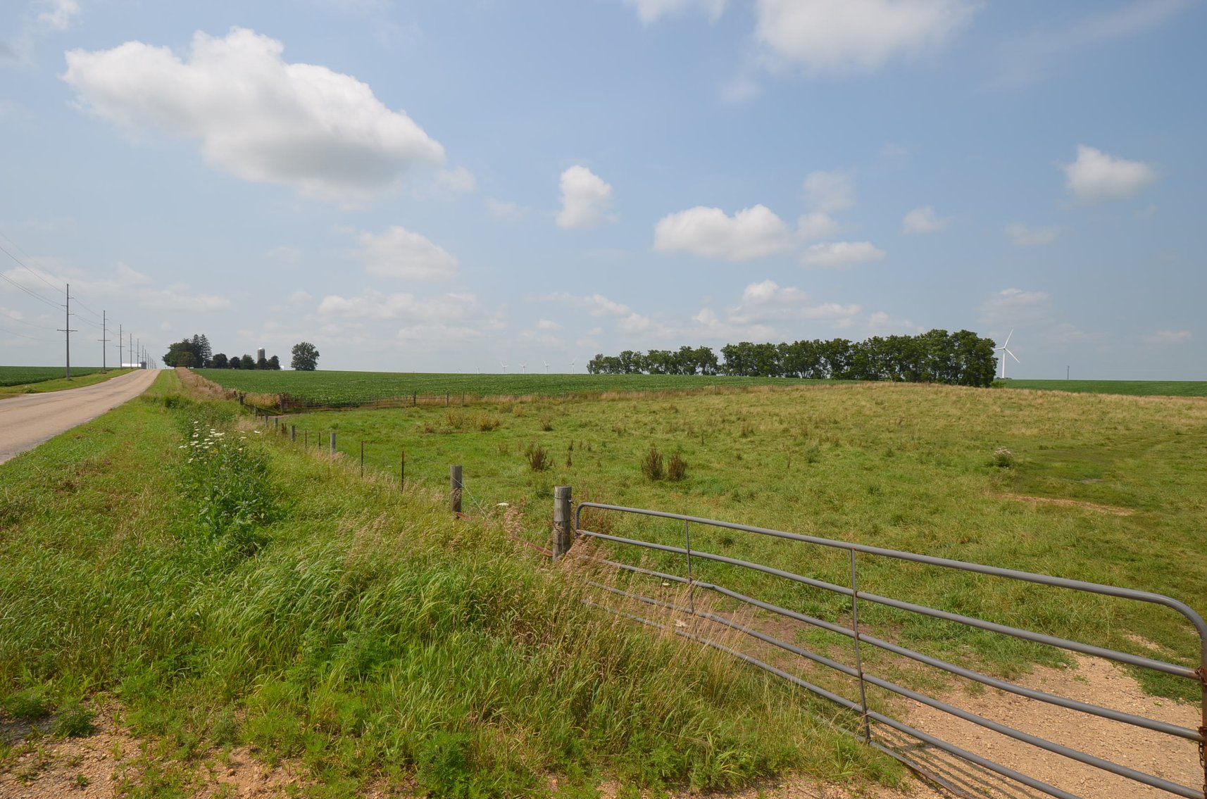 Image for 80 ACRES IN IOWA COUNTY, WI - REAL ESTATE
