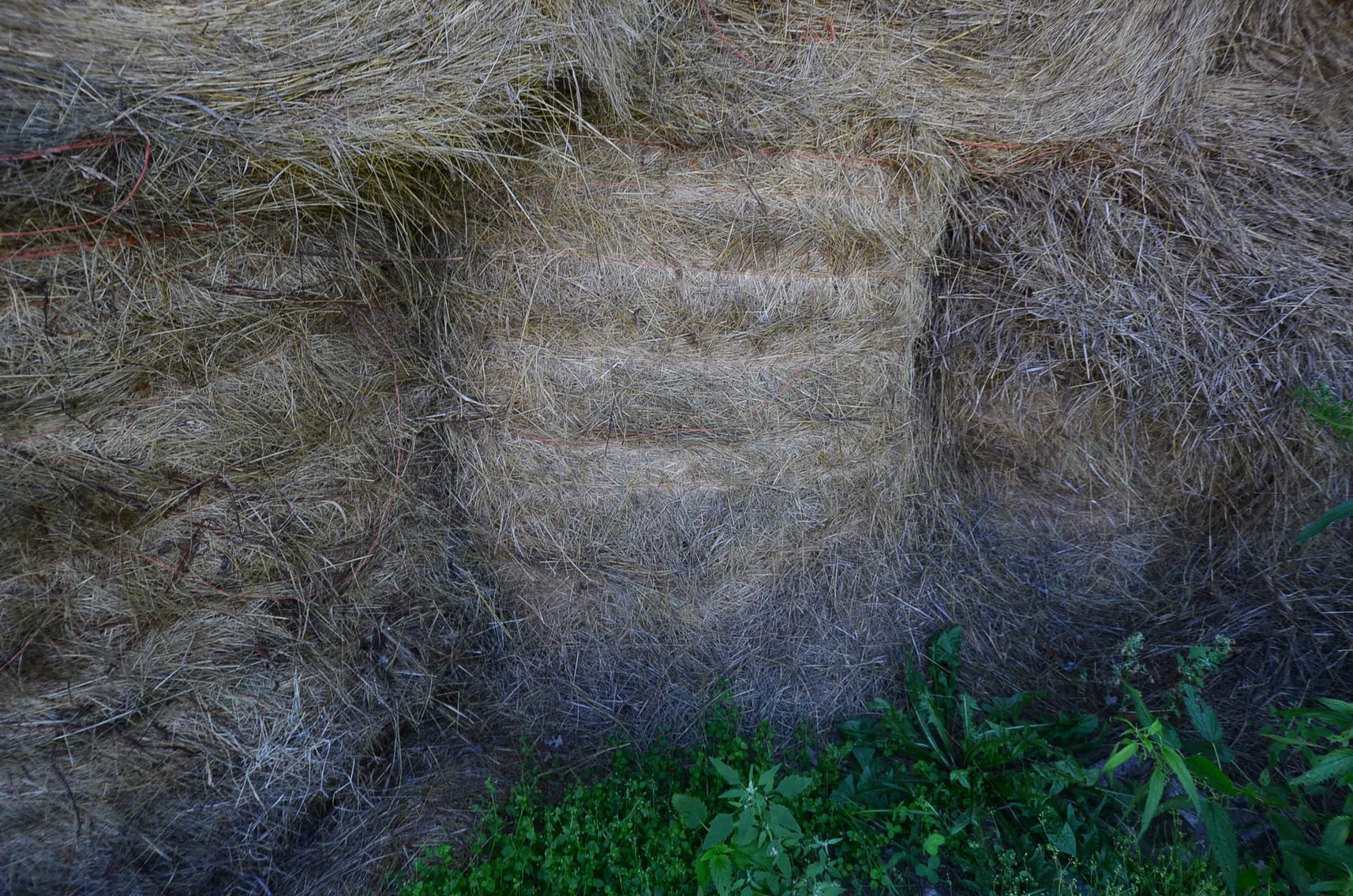 Image for TRACTORS, VEHICLES, FARM EQUIP, SHOP TOOLS, PERSONAL PROPERTY - Mondovi, WI